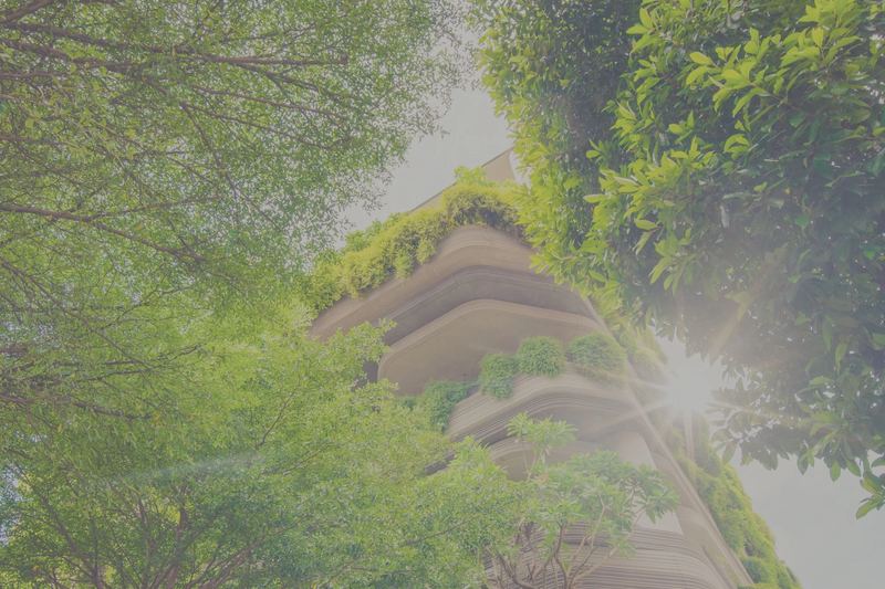 Trees growing on a green building